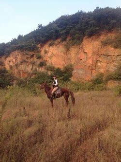 蘇州騎馬多少錢?談論馬匹在蘇州旅遊中的地位與價值